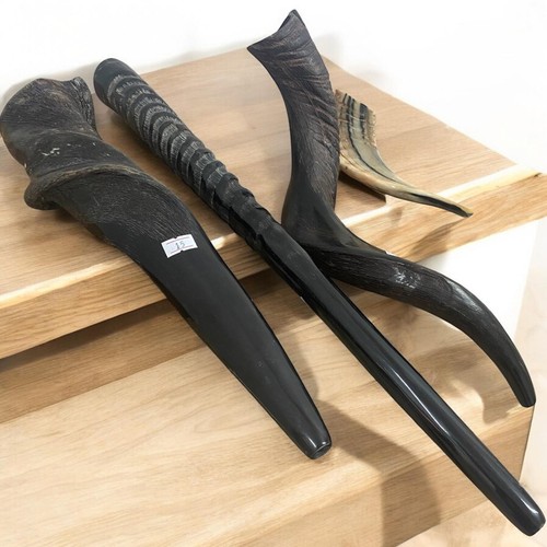 Set shofars kudu yemenite - kudu,