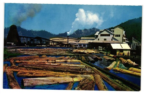 Vintage unused postcard lumber - postcard,