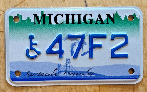 Mich disabled person - mich,