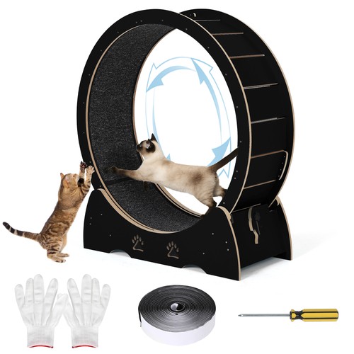 Cat exercise wheel large - cat,