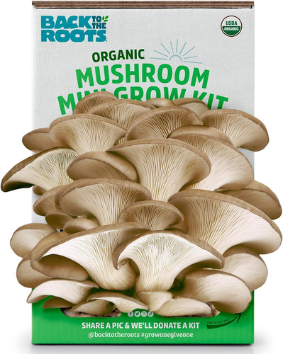 Organic mini mushroom grow - organic,