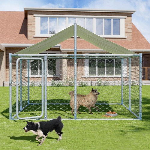 Ft large outdoor dog - ft/10,