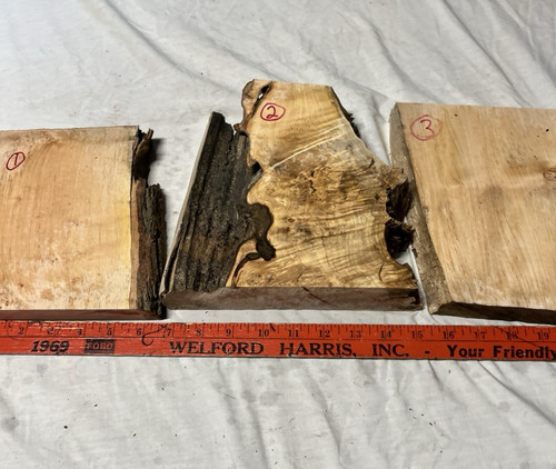 Ambrosia maple wood cut offs - ambrosia,