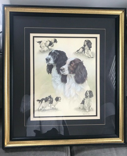 Nigel hemming english springer - nigel,