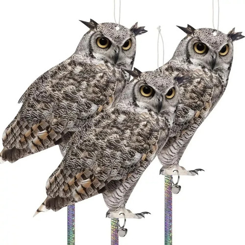 Fake owl decoy scare - decoy,