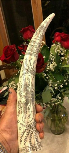 Scrimshaw reproduction walrus - scrimshaw,