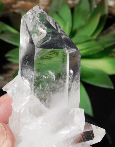 Rainbows translucent quartz - rainbows,