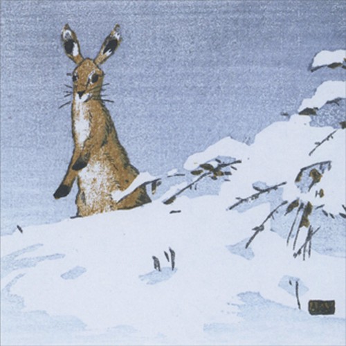 Hare snow brown rabbit - brown,