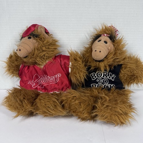 Alf born rock - born, to