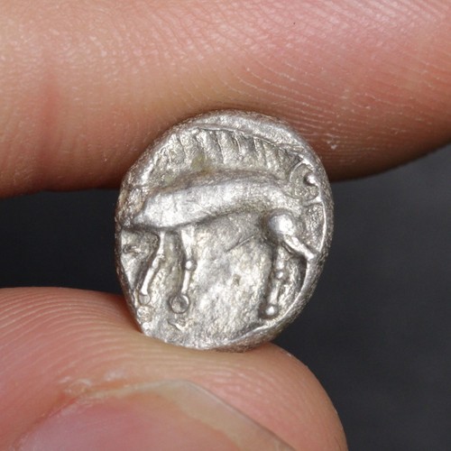 Ancient celtic horse coin - horse,