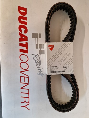 Genuine ducati monster - ducati,