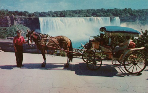 Vtg postcard victoria - victoria, horse