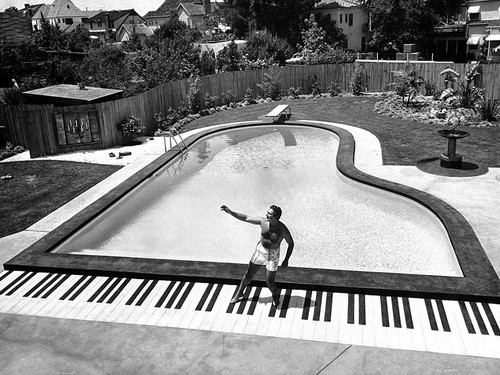 Piano shaped pool 8x10 picture - piano,