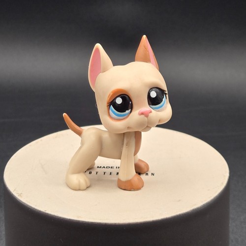 Littlest pet shop lps - shop,
