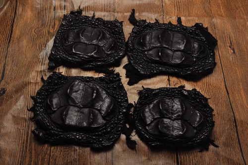 Real alligator skin hide - skin,