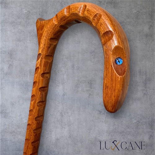 Walking cane palm - palm, defense