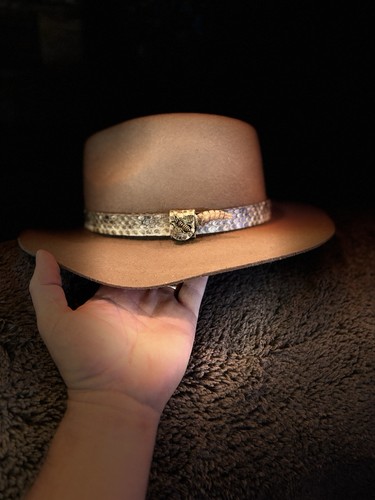 Diamondback rattlesnake - ,