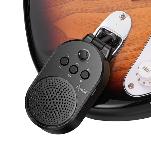Pogolab mini guitar - pogolab, 5w