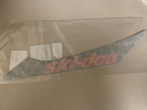 Front ski doo decal 2019 - decal,