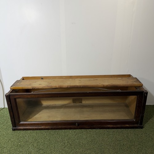 Globe wernicke tiger - globe-wernicke, d