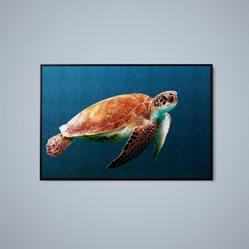 Artographie sea turtle art - artographie,