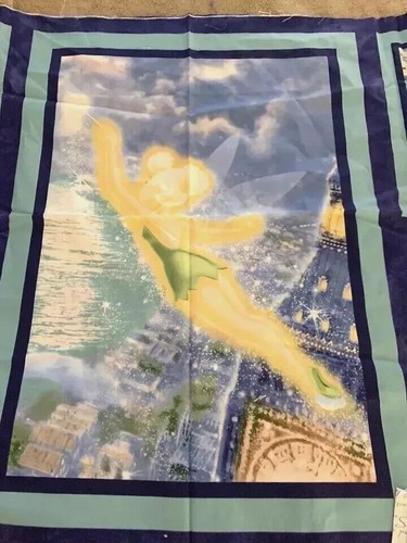 Disney tinkerbell peter pan