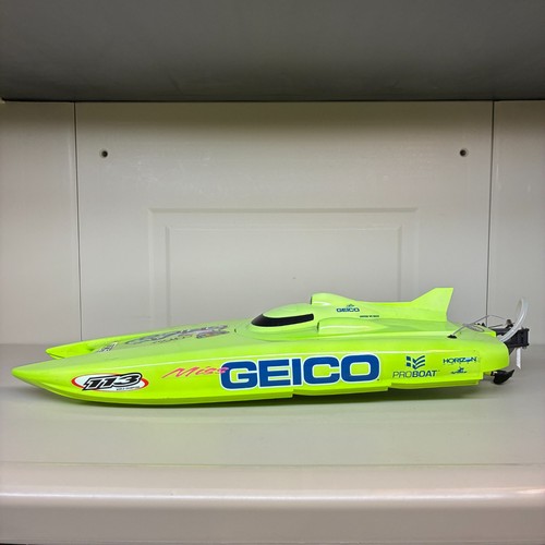 Miss geico catameran - geico,