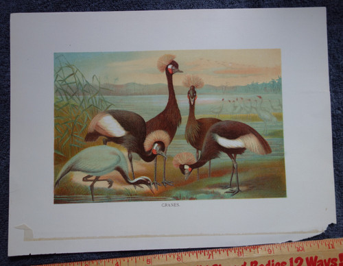 Vintage antique african - vintage,
