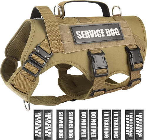 Service dog vest - dog, harness