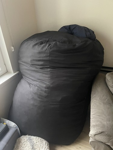 Big joe bean bag - joe,