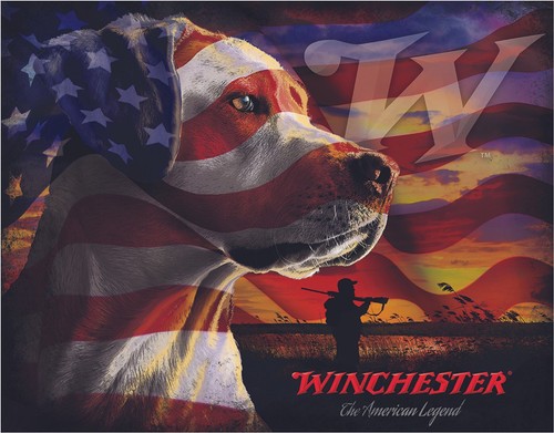 Winchester labrador america - winchester,