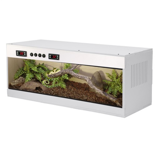 Reptile terrarium enclosure - reptile,