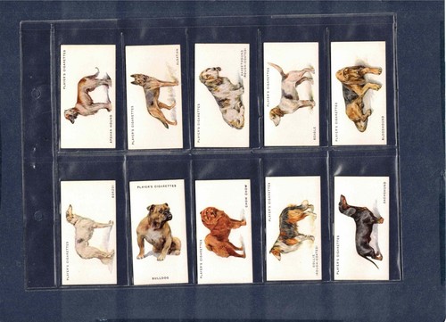 1931 john player son s - &, dogs