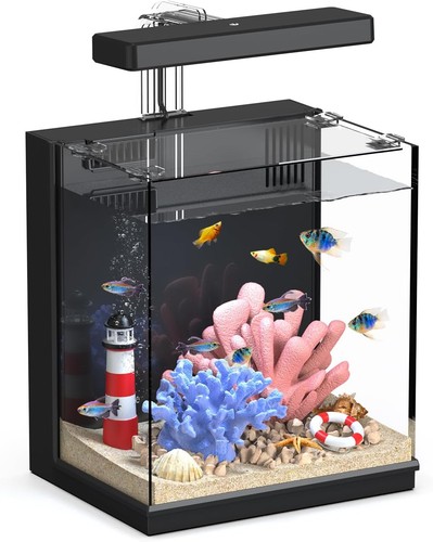 Beta fish tank gallon - fish,