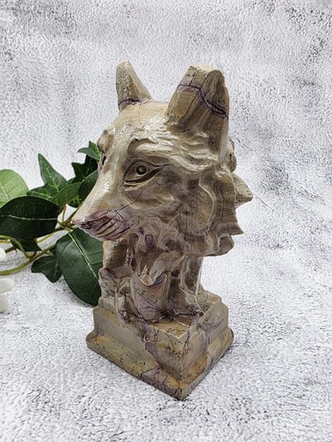 Picture jasper wolf - picture, bust