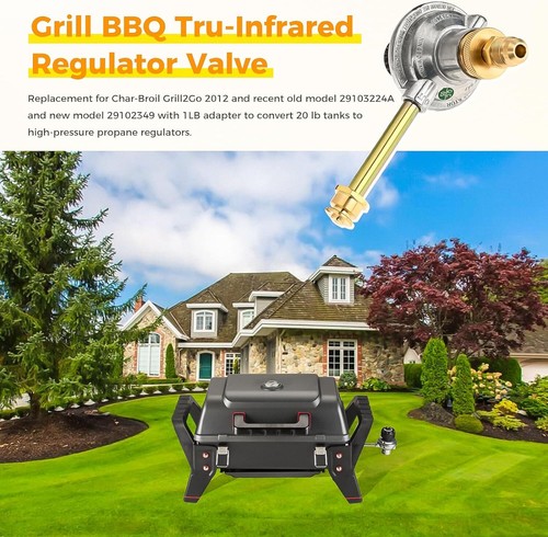 Bbq portable propane tabletop - propane,