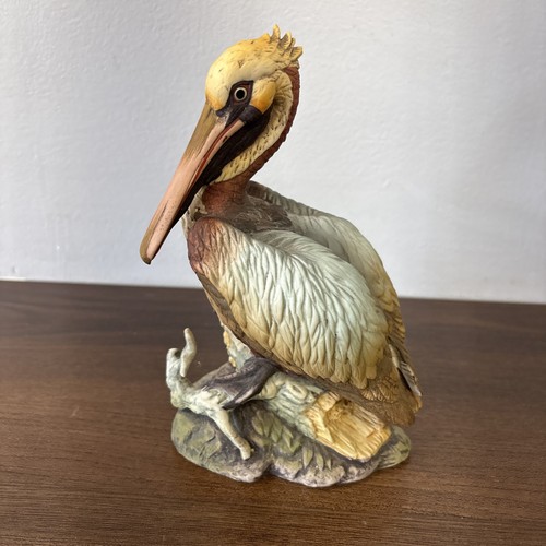 Brown pelican andrea sadek - pelican,