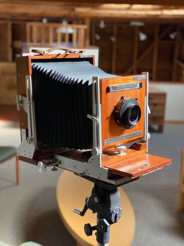 Phillips sons rare - r.h., &