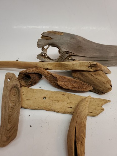 Bundle small driftwood - of,