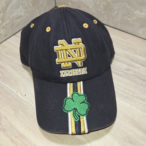 Ncaa notre dame fighting irish - fighting,