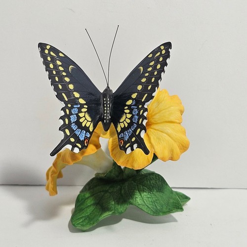 Lenox black swallowtail - black,