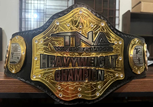 New tna world champion - new,