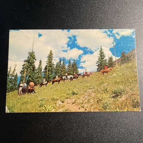 Horseback trip the - in, rockies