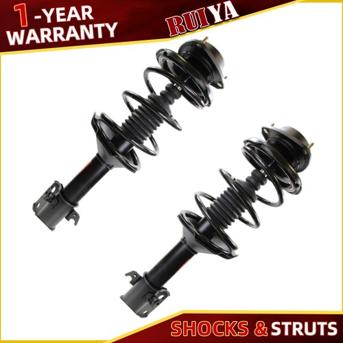 Front pair struts - front,
