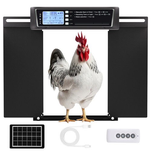 Extra large solar automatic - large,