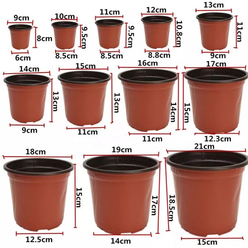 Plastic plant flower - flower, pots
