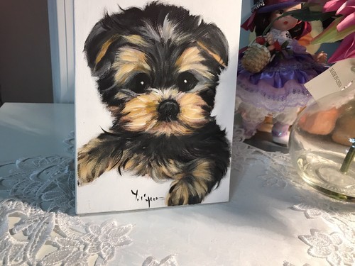 Yorkie puppy original - yorkie,