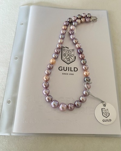 1800 guild top - guild,