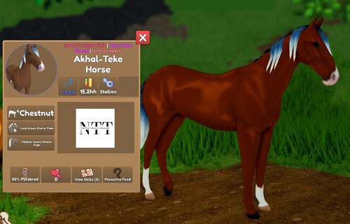 Wild horse islands new - horse,