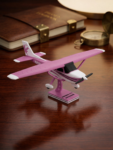 Printed cessna 172 skyhawk - 3d,